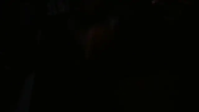 blkwanker online show from January 2025 04:30:01 AM