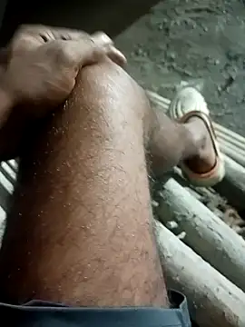 Bengali BULL1 online show from September 2025 04:12:02 PM