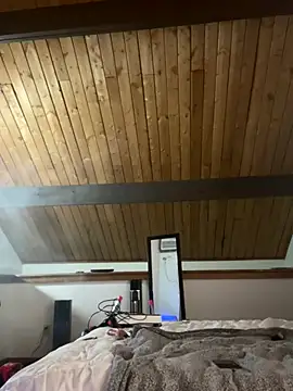 odbodu online show from November 2025 08:58:01 AM