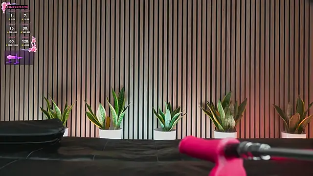 NiceHotJob online show from February 2025 07:00:01 PM