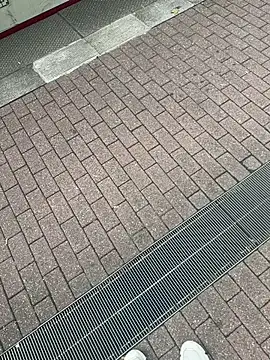 Lionayowe online show from September 2025 01:16:02 PM