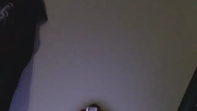 florida0217 online show from January 2025 02:53:01 AM