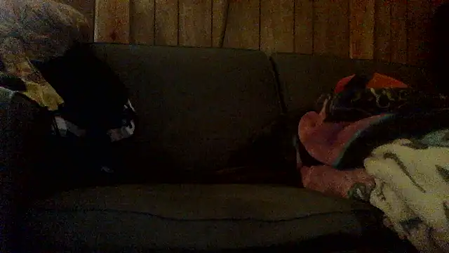 Snapshot of Ryoko_Momoko chatting on November 2025 02:46:02 AM Ryoko Momoko online show from November 2025 02:46:02 AM