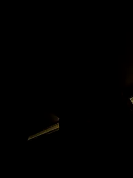 Snapshot of tropikboy chatting on February 2026 02:17:02 AM tropikboy online show from February 2026 02:17:02 AM