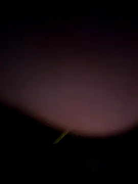 Snapshot of tropikboy chatting on February 2026 12:53:02 AM tropikboy online show from February 2026 12:53:02 AM