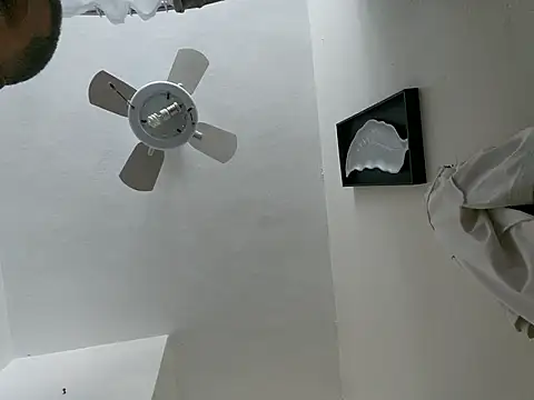 tropikboy online show from March 2026 12:09:01 PM