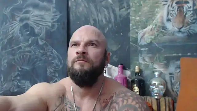 viking 30 online show from October 2025 08:21:02 PM