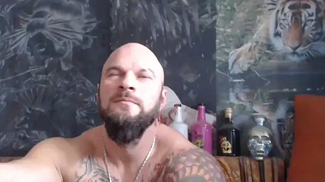 viking 30 online show from November 2025 07:46:02 AM