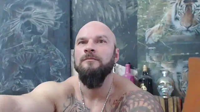 viking 30 online show from November 2025 07:33:02 AM