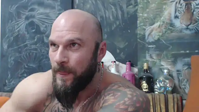 viking 30 online show from December 2025 04:05:01 PM