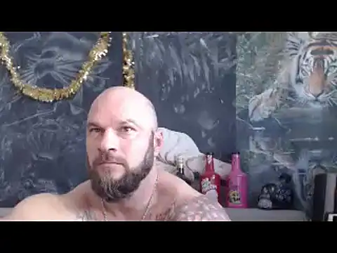 viking 30 online show from March 2026 10:26:01 AM