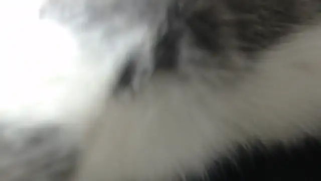 prettyangelsquirt online show from April 2026 11:27:02 PM