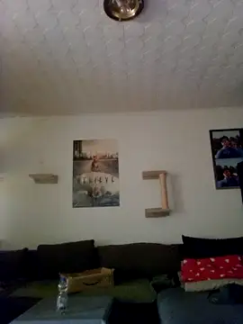 Codymc89 online show from June 2026 02:18:02 PM