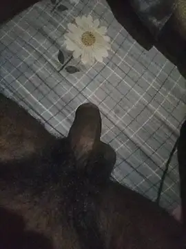 naxusxh online show from November 2025 05:57:01 PM