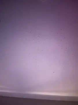 6lue6a6y69 online show from November 2025 05:20:01 AM