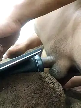 Snapshot of indianbulldelhi chatting on January 2025 07:45:02 AM indianbulldelhi online show from January 2025 07:45:02 AM