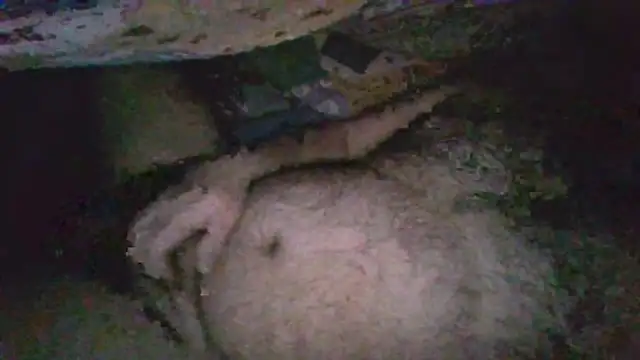 gerilom8787 online show from February 2026 02:45:01 PM