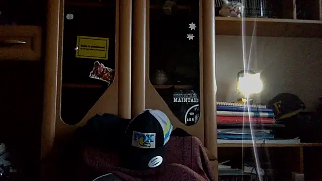 Snapshot of FireFox_Feel chatting on November 2025 02:09:01 PM FireFox Feel online show from November 2025 02:09:01 PM