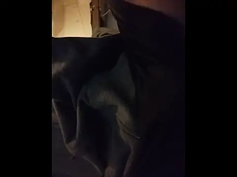 leonar0101 online show from February 2026 07:31:02 AM