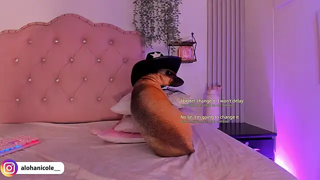 sweet nicole 11 online show from October 2025 10:27:01 AM