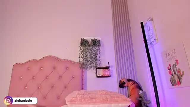 sweet nicole 11 online show from December 2025 03:06:01 PM