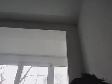 Snapshot of FallenDevil chatting on January 2025 11:55:01 AM FallenDevil online show from January 2025 11:55:01 AM