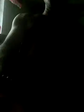 xxxsexy27 online show from July 2026 10:32:02 AM