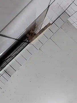 Snapshot of cindy01113520 chatting on October 2025 02:57:01 PM cindy01113520 online show from October 2025 02:57:01 PM