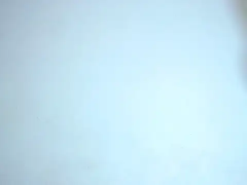 ares sexxx online show from December 2024 07:28:01 AM