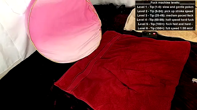 Snapshot of GamerGirlRoxyAndLee chatting on June 2026 08:22:02 PM GamerGirlRoxyAndLee online show from June 2026 08:22:02 PM