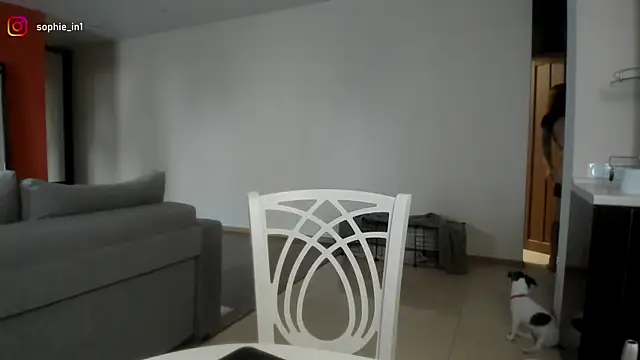  in yan online show from February 2026 03:57:02 AM