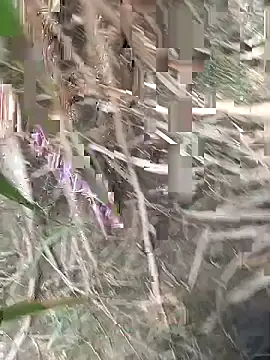 FinableKnee online show from September 2025 04:47:01 AM