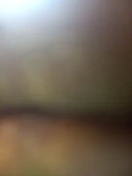 FinableKnee online show from November 2025 05:31:01 AM