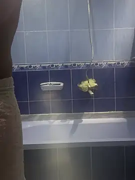 Arabien Pharaoh- online show from March 2025 05:58:01 PM