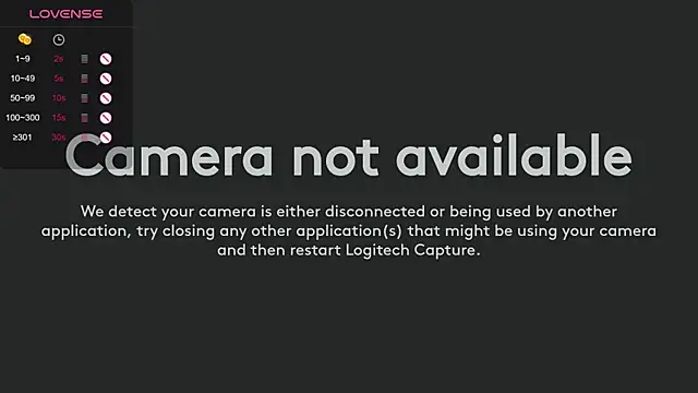 illegal lorry online show from January 2025 06:26:01 AM