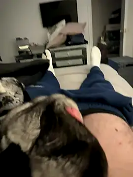 Furdale online show from December 2025 02:25:02 PM