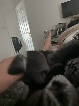 Furdale online show from March 2026 09:57:01 AM