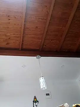 shelby kutter online show from March 2025 07:23:01 PM