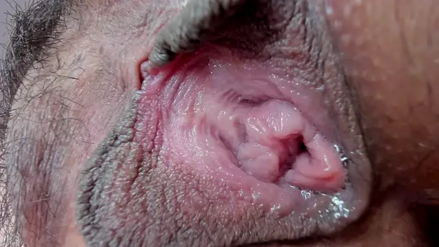 ms pickless online show from January 2025 03:18:01 PM