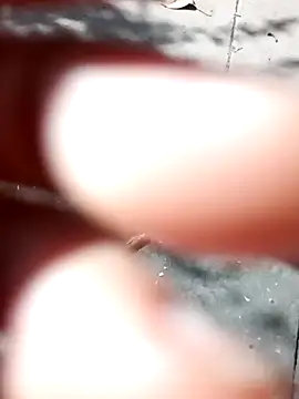 rodovlaz online show from March 2026 02:18:01 PM