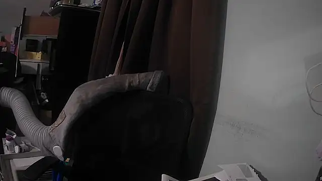 nickytheehawtie online show from July 2026 09:03:02 AM