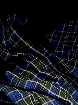 rajlocal online show from December 2024 02:06:02 AM