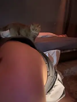 Bastet online show from January 2025 09:51:02 PM