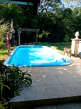 dutra498 online show from February 2026 11:59:01 AM