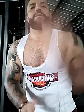 bardock 1 online show from March 2026 08:04:01 PM