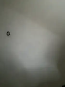 alex-18hot online show from April 2026 03:50:02 PM