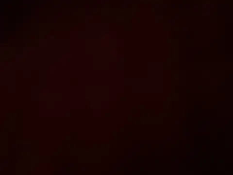 Snapshot of Tomthelong chatting on February 2025 03:05:01 PM Tomthelong online show from February 2025 03:05:01 PM