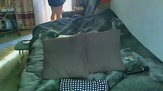 sex2 online show from September 2025 01:54:02 AM