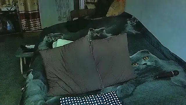 sex2 online show from September 2025 05:40:02 PM