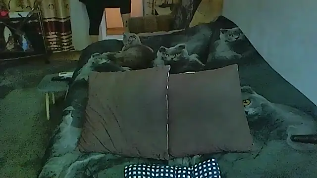 sex2 online show from December 2025 01:26:02 AM